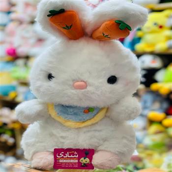 خرگوش گوش هويجی